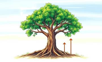 The Prudent Portfolio: Constructing a Low-Volatility Investment Plan